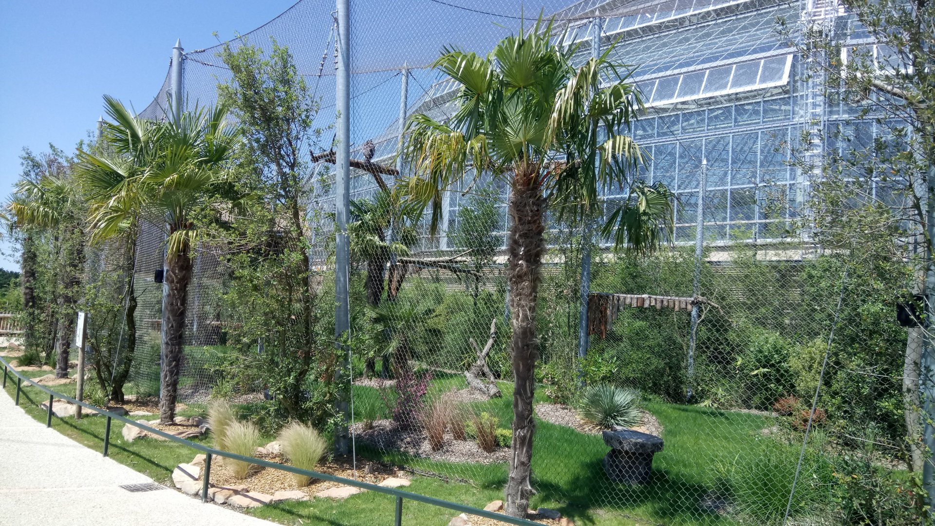 Tropical Dome - Harpy eagles aviary