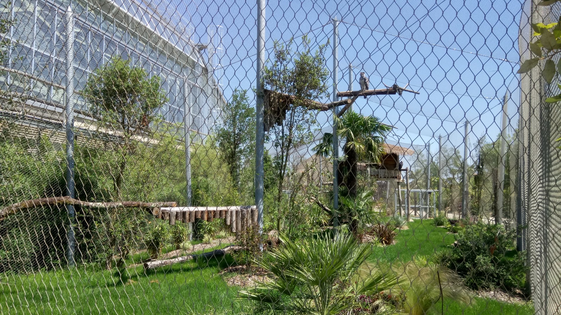 Tropical Dome - Harpy eagles aviary
