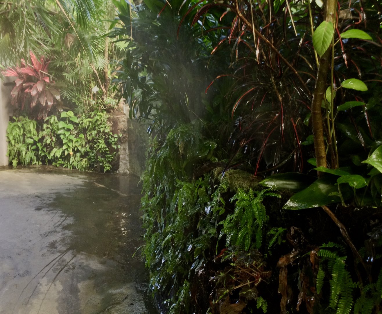 Tropical Dome - Humidity Mist Spray