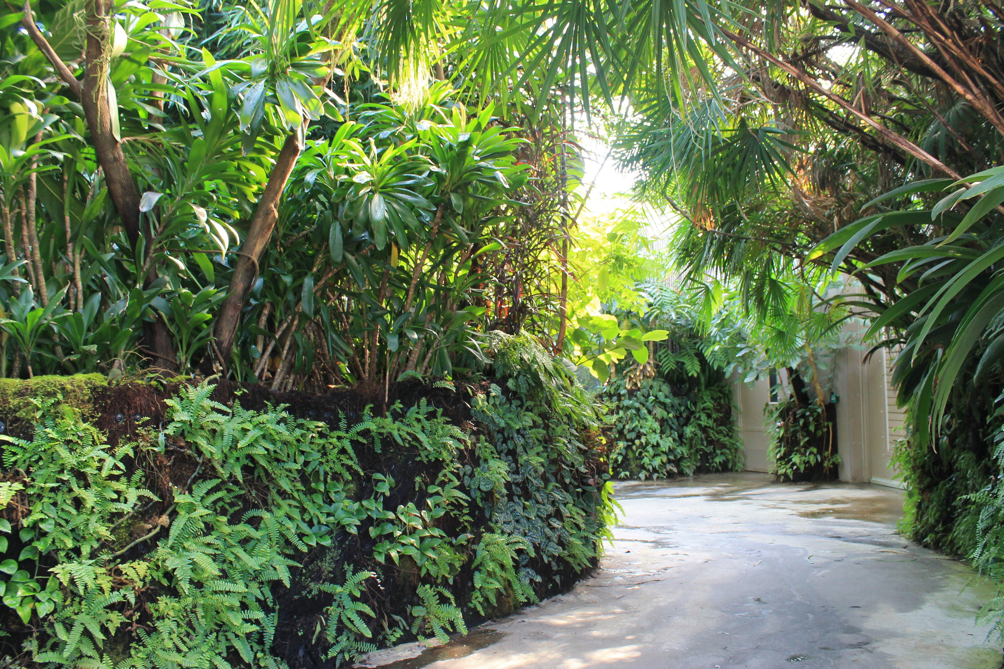 Tropical Dome interior