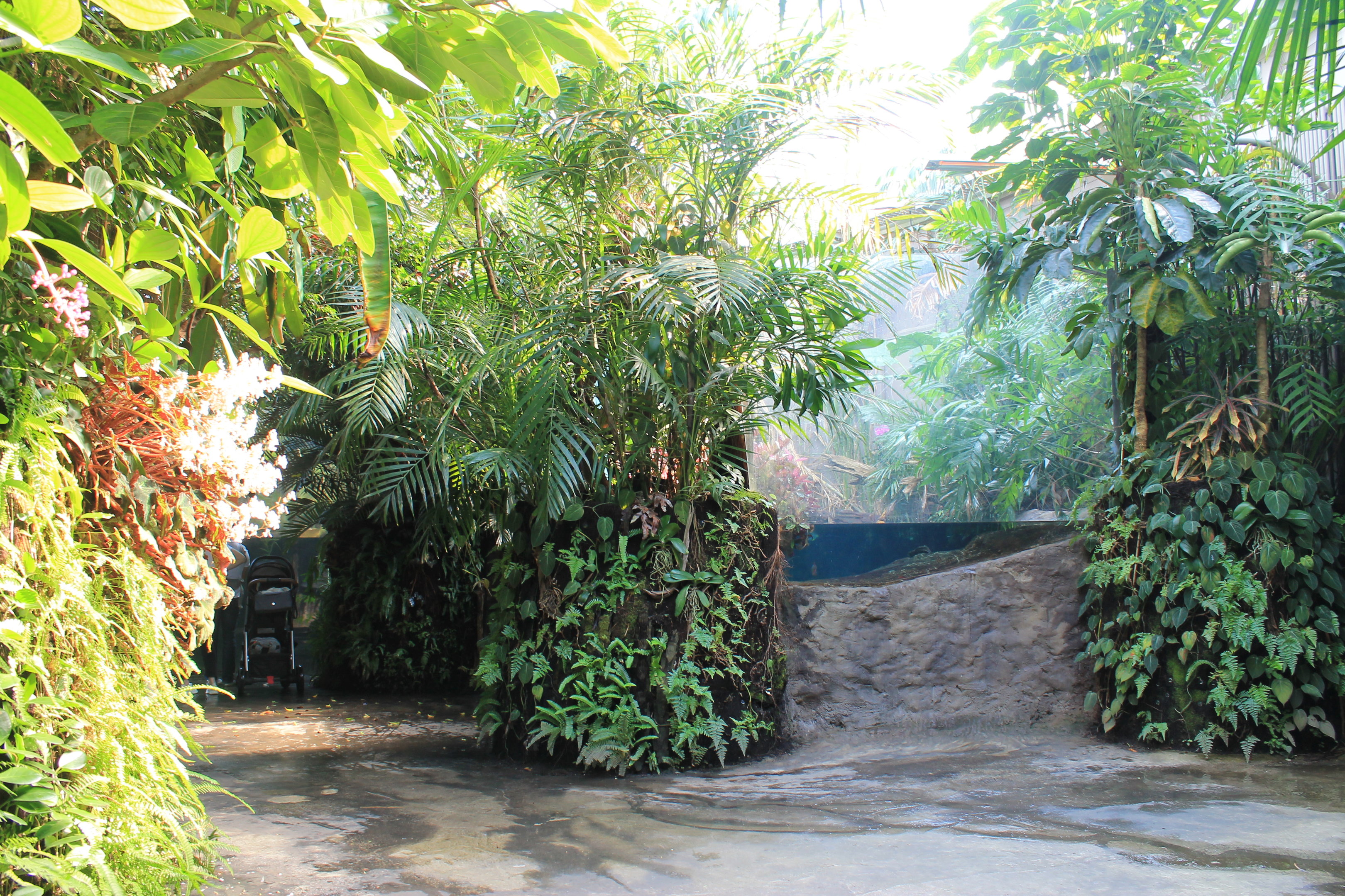 Tropical Dome interior