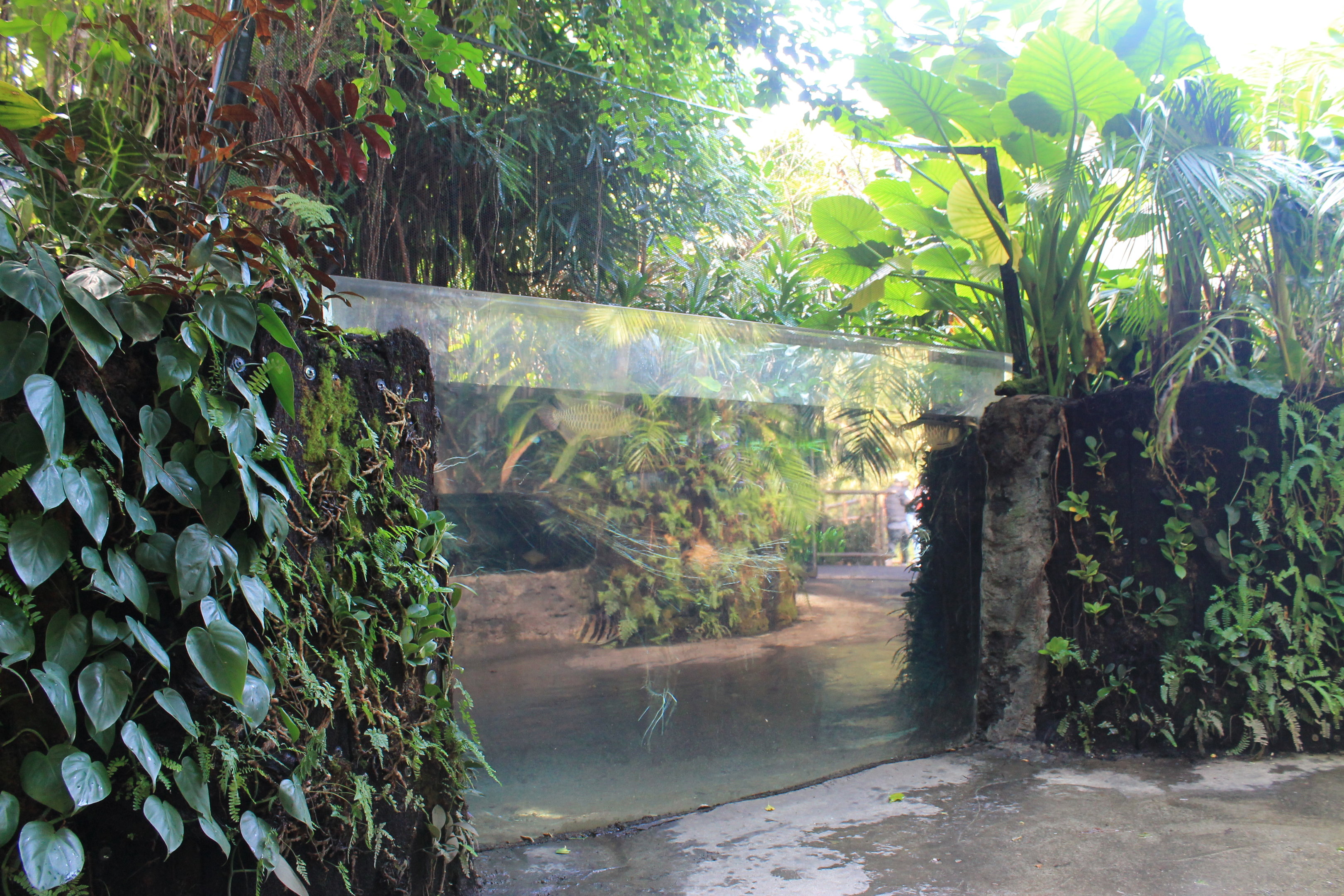 Tropical Dome interior