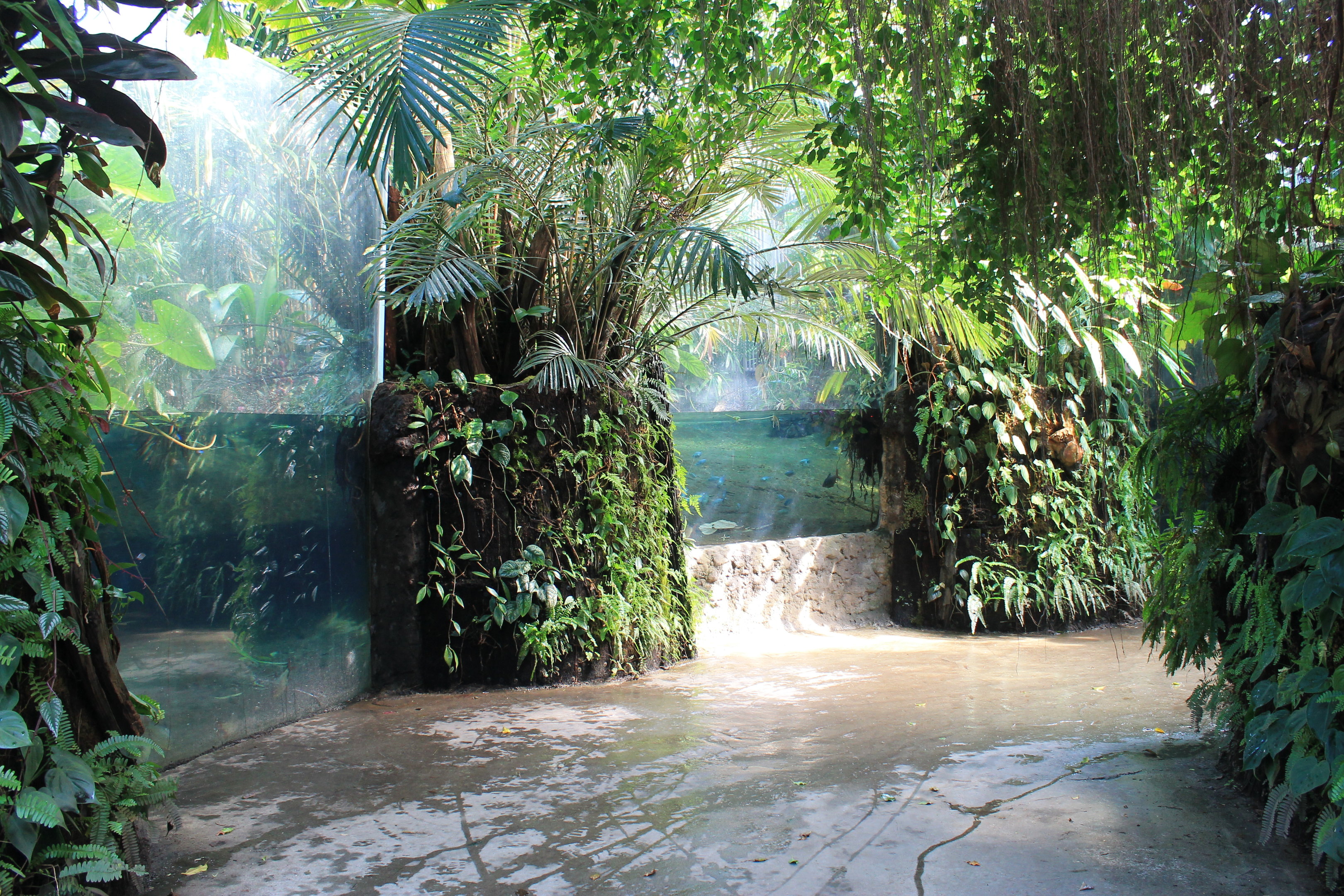 Tropical Dome interior