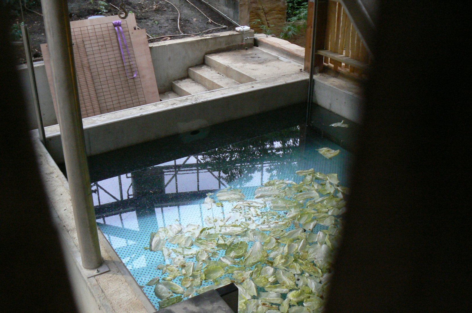 Tropical dome - Off-show third manatee pool for vet cares