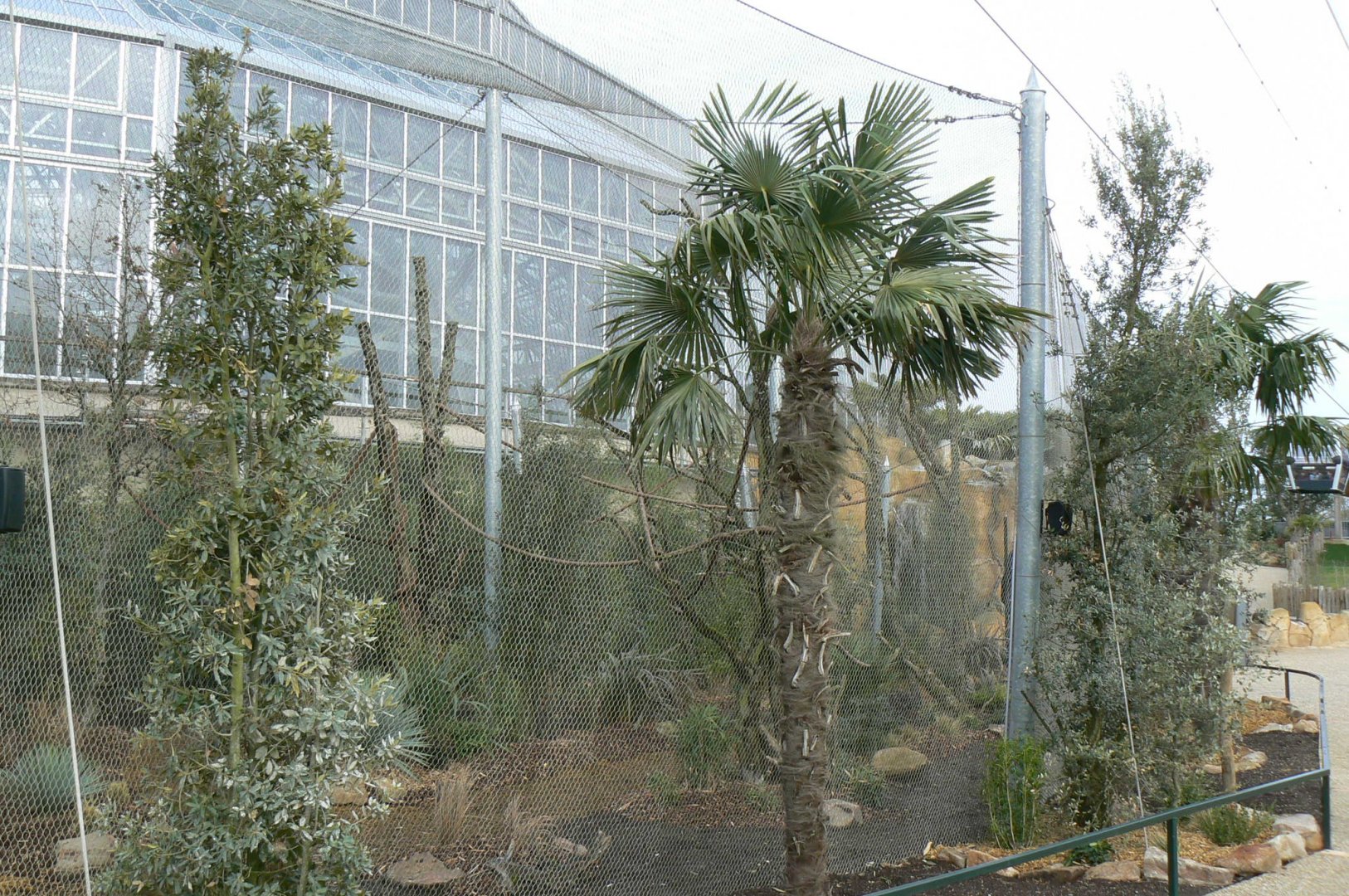 Tropical dome - Outdoor aviary for Bolivian squirrel monkeys and southern tamanduas