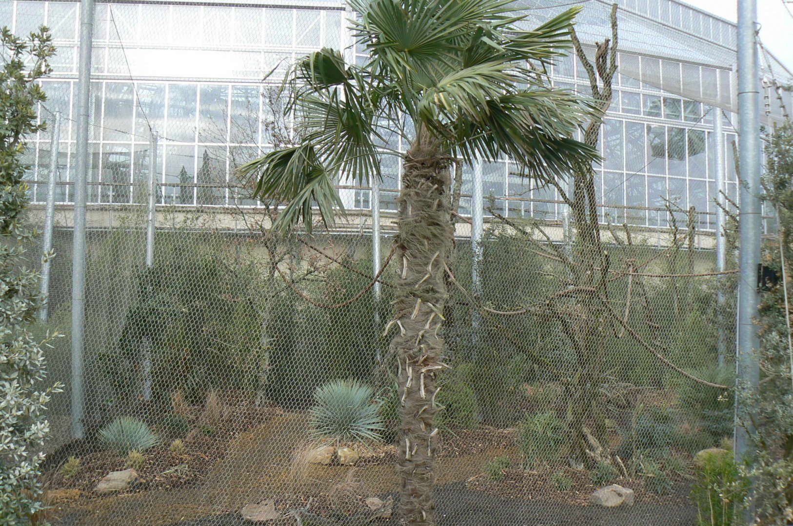 Tropical dome - Outdoor aviary for Bolivian squirrel monkeys and southern tamanduas