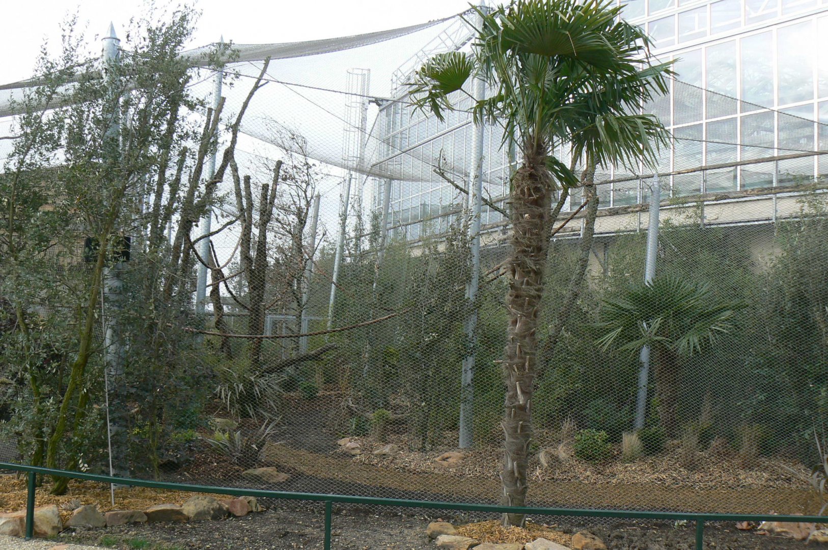 Tropical dome - Outdoor aviary for Bolivian squirrel monkeys and southern tamanduas