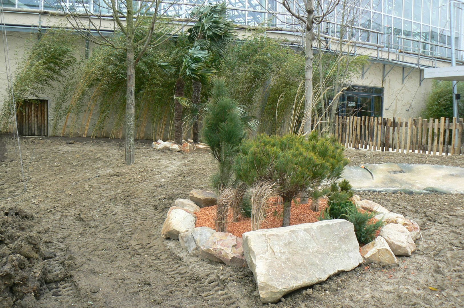 Tropical dome - Outdoore enclosure for radiated tortoises