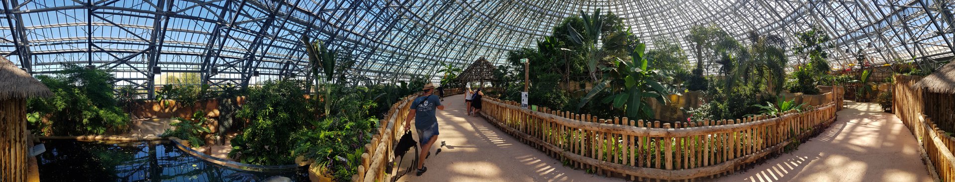 Tropical dome panorama