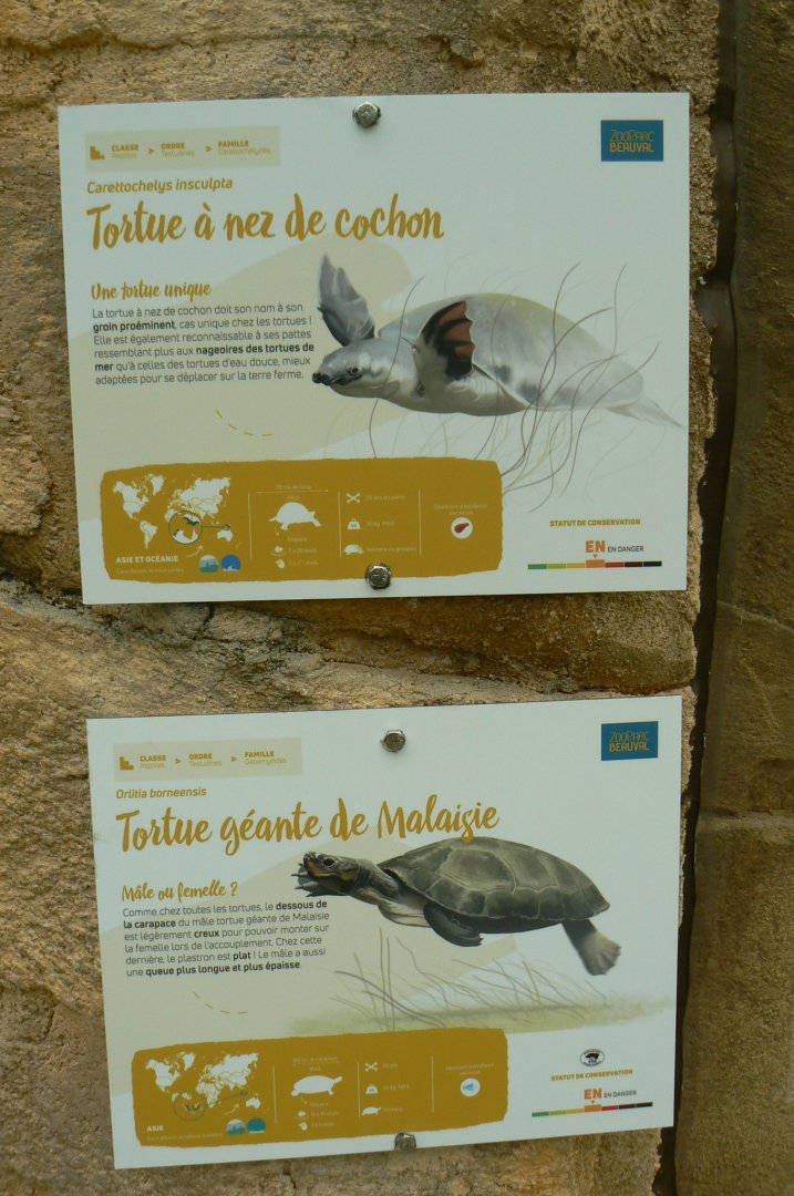 Tropical dome - Pig-nosed turtle and Malaysian giant pond turtle signages
