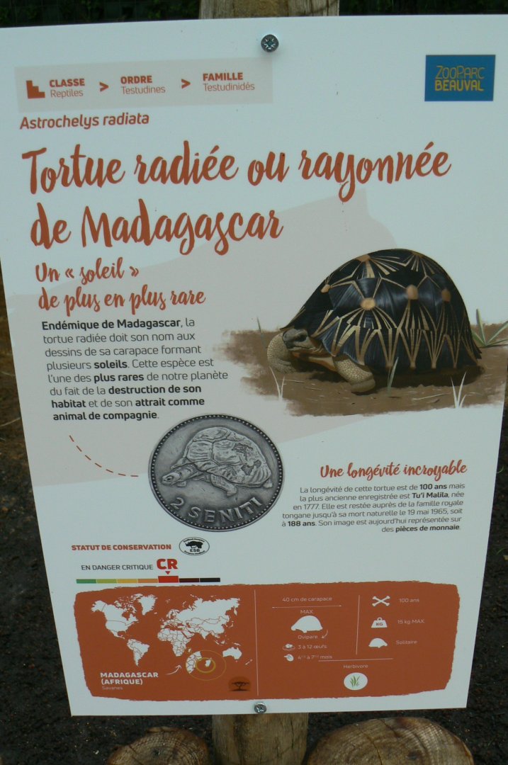 Tropical dome - Radiated tortoise signage