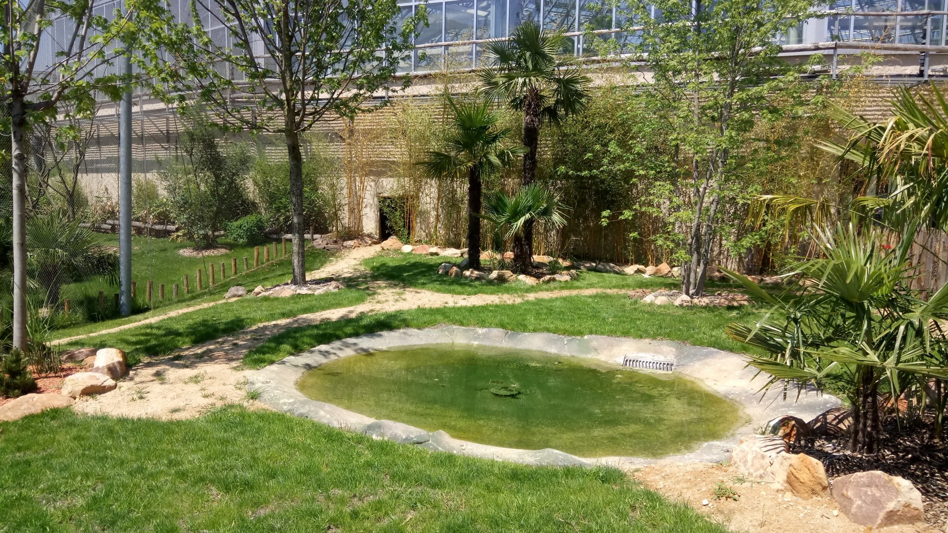 Tropical Dome - radiated tortoises outdoor enclosure