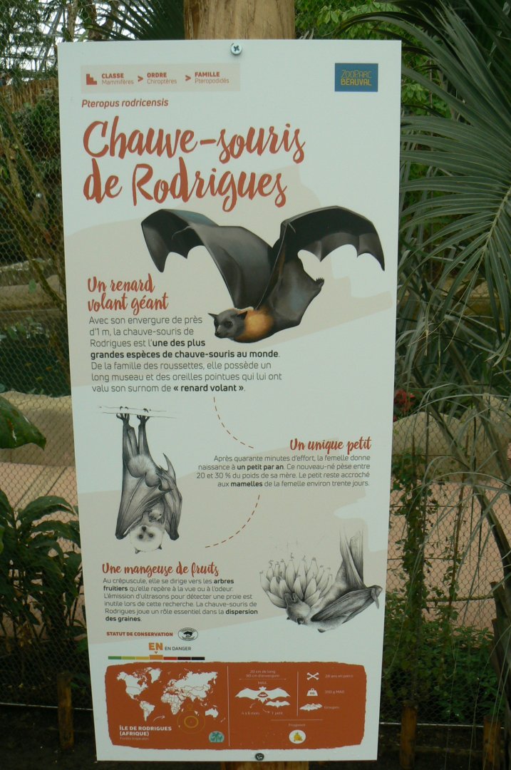 Tropical dome - Rodriguez flying fox signage