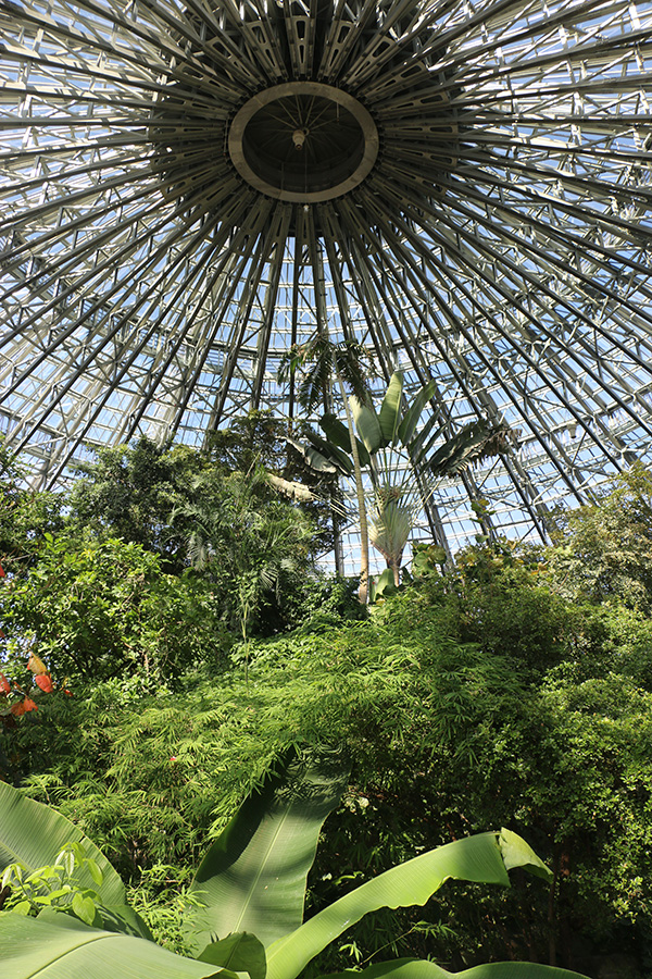 Tropical dome roof structure