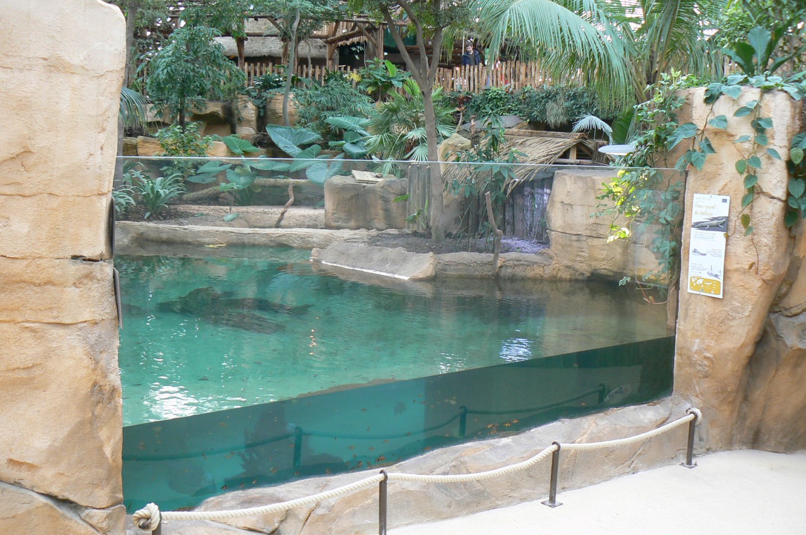 Tropical dome - Second false gharial enclosure