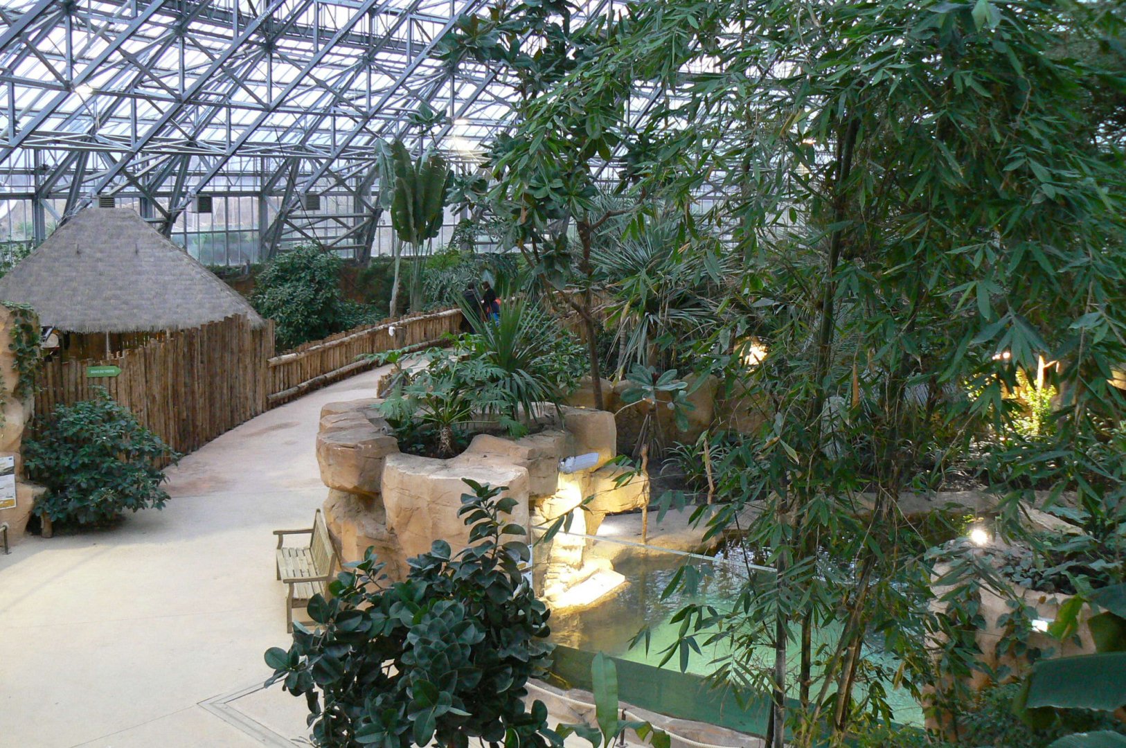 Tropical dome - Second false gharial enclsoure on the right and young (8) false gharials on the left