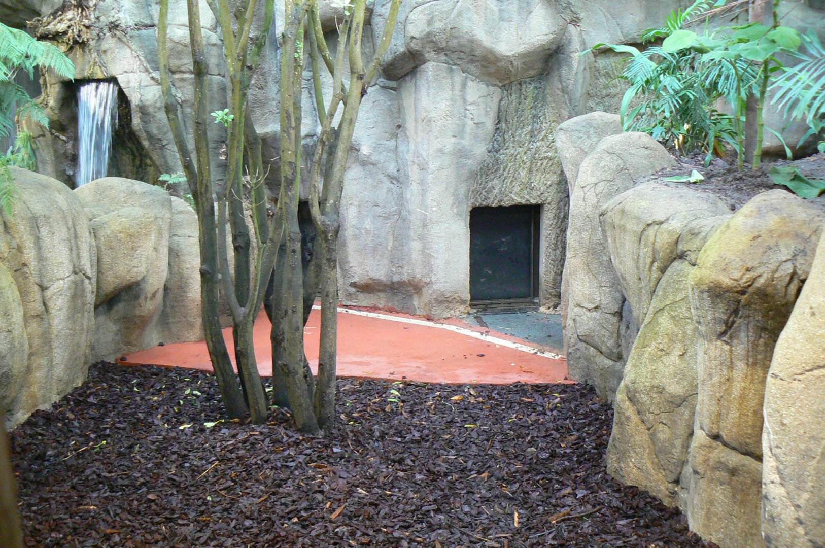 Tropical dome - Second pygmy hippo enclosure - paddock