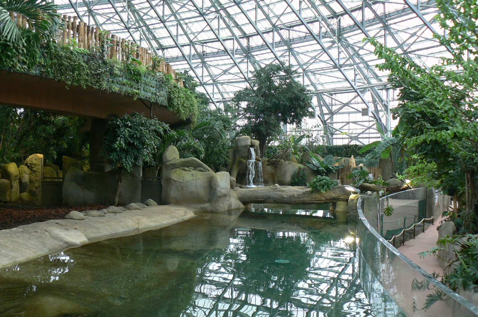 Tropical dome - Second pygmy hippo enclosure