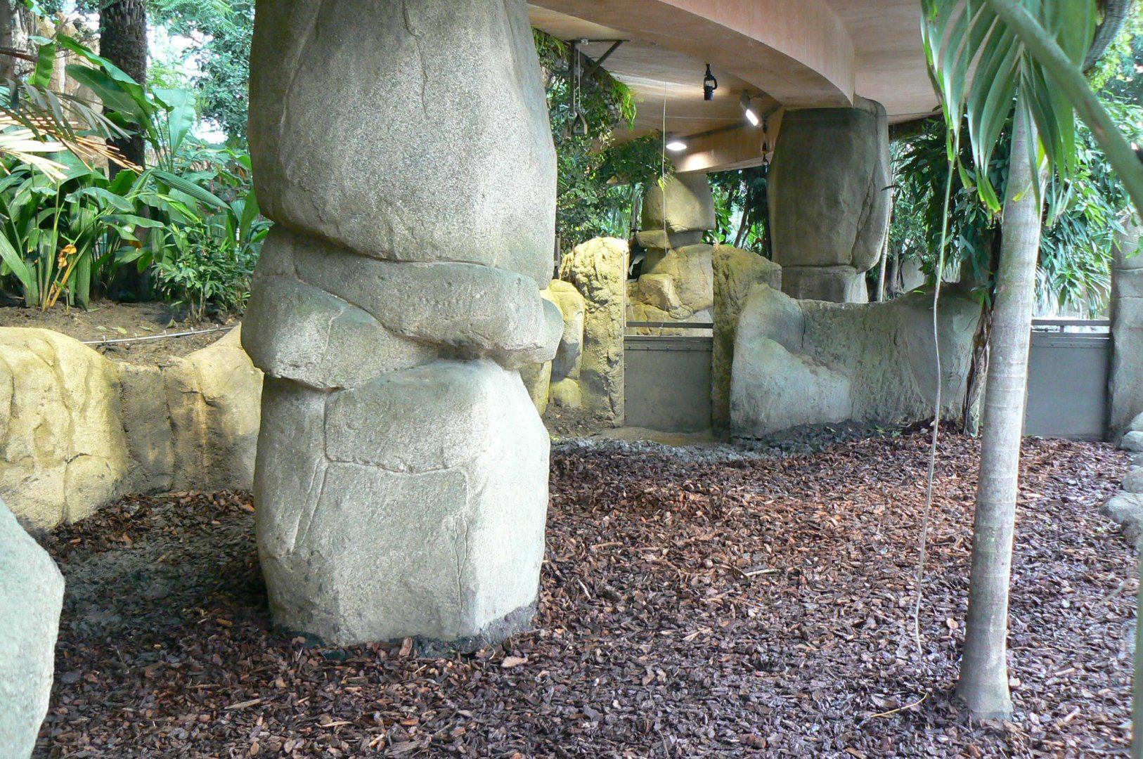Tropical dome - Second pygmy hippo enclosure
