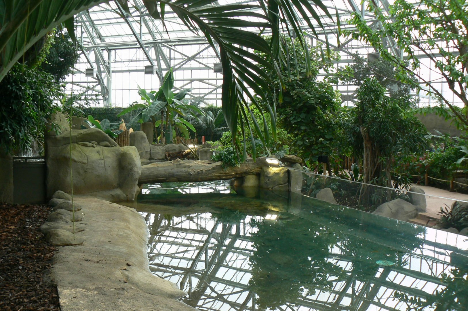 Tropical dome - Second pygmy hippo enclosure