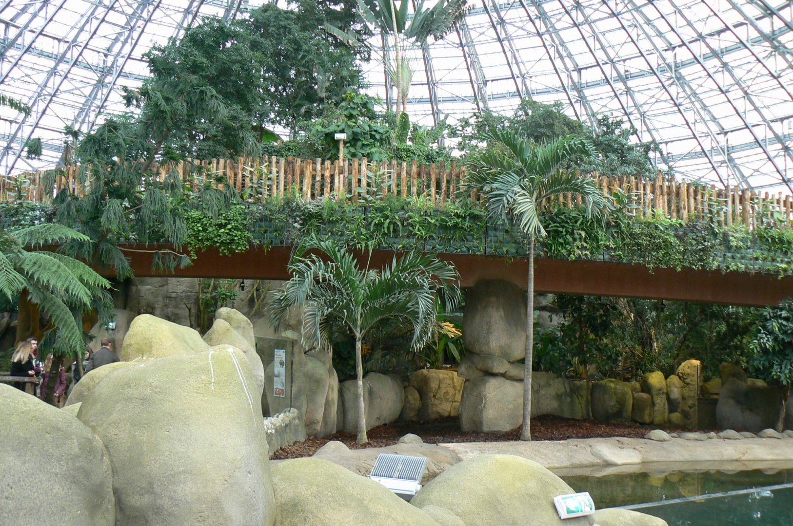 Tropical dome - Second pygmy hippo enclosure
