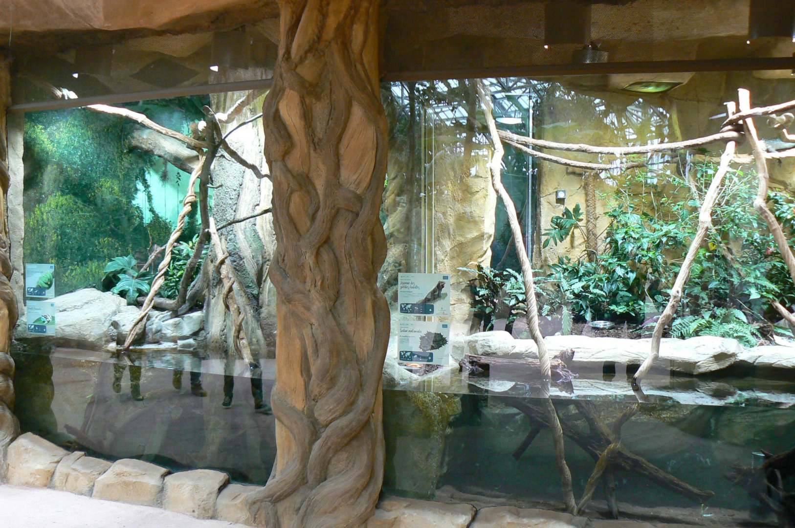 Tropical dome - South american terrariums