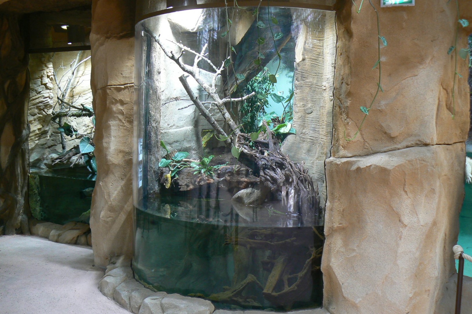 Tropical dome - South american terrariums