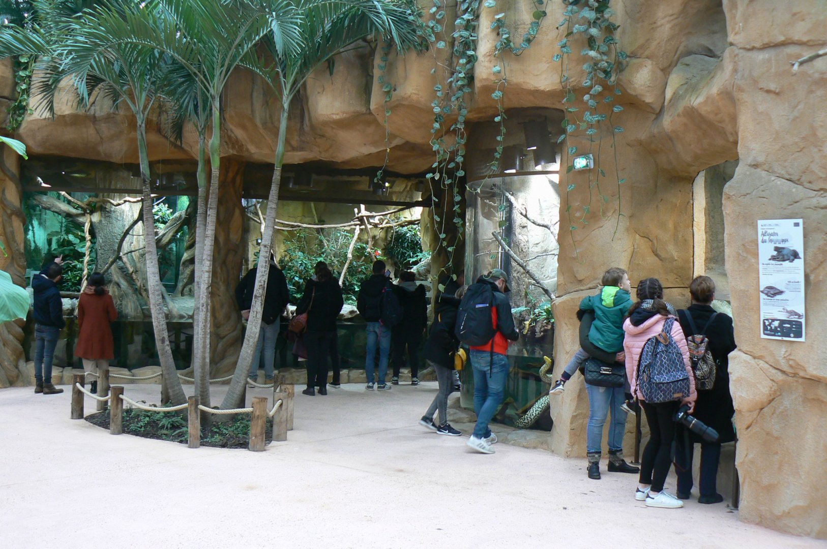 Tropical dome - South american terrariums
