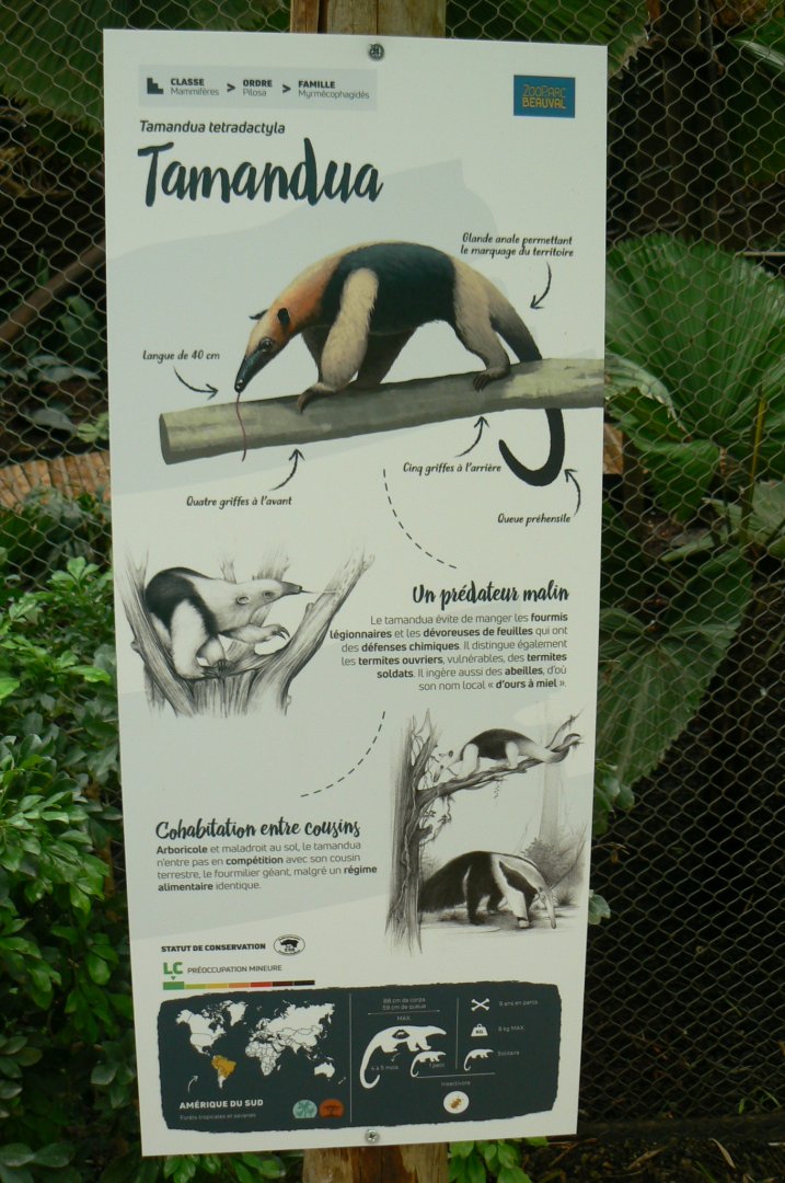 Tropical dome - Southern tamandua signage