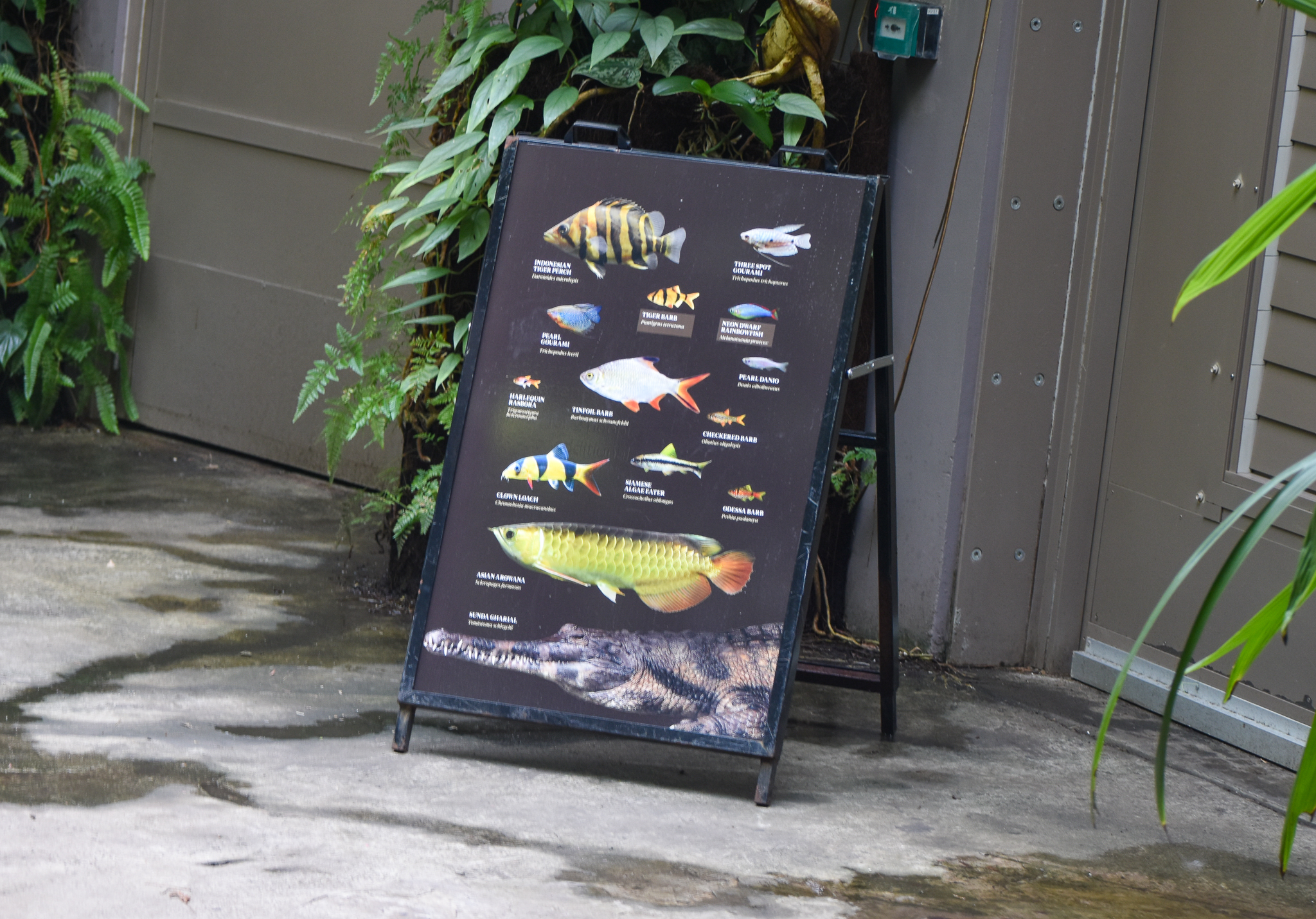 Tropical Dome Species Line-up