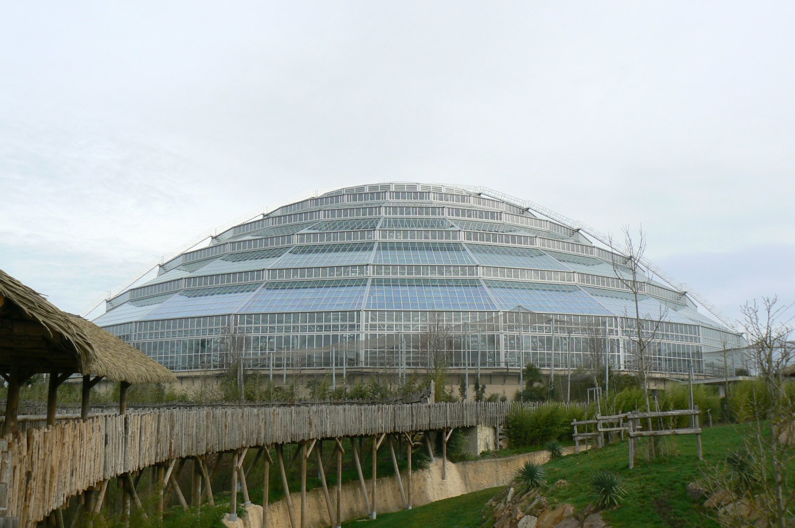 Tropical dome - View from the bongos enclosure