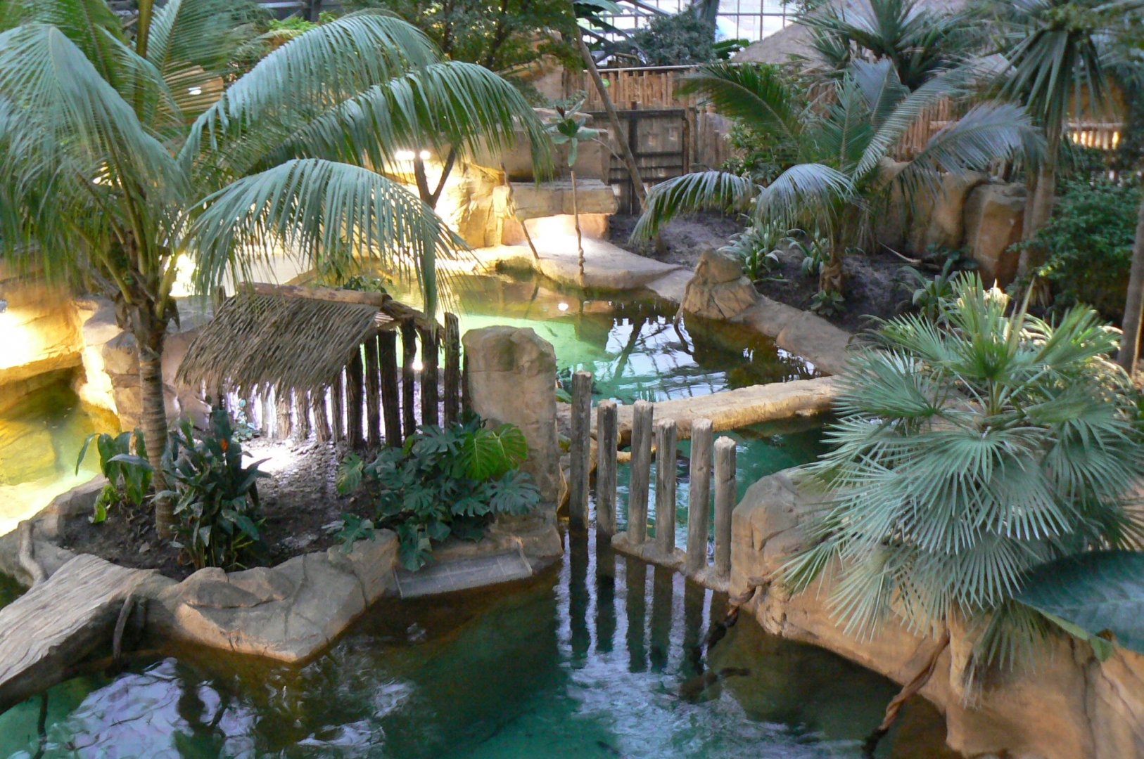 Tropical dome - View onto the two false gharials enclosures