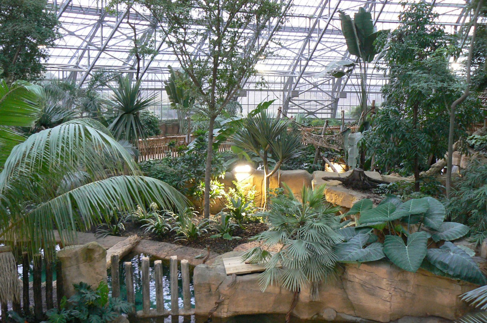 Tropical dome - View onto the two false gharials enclosures