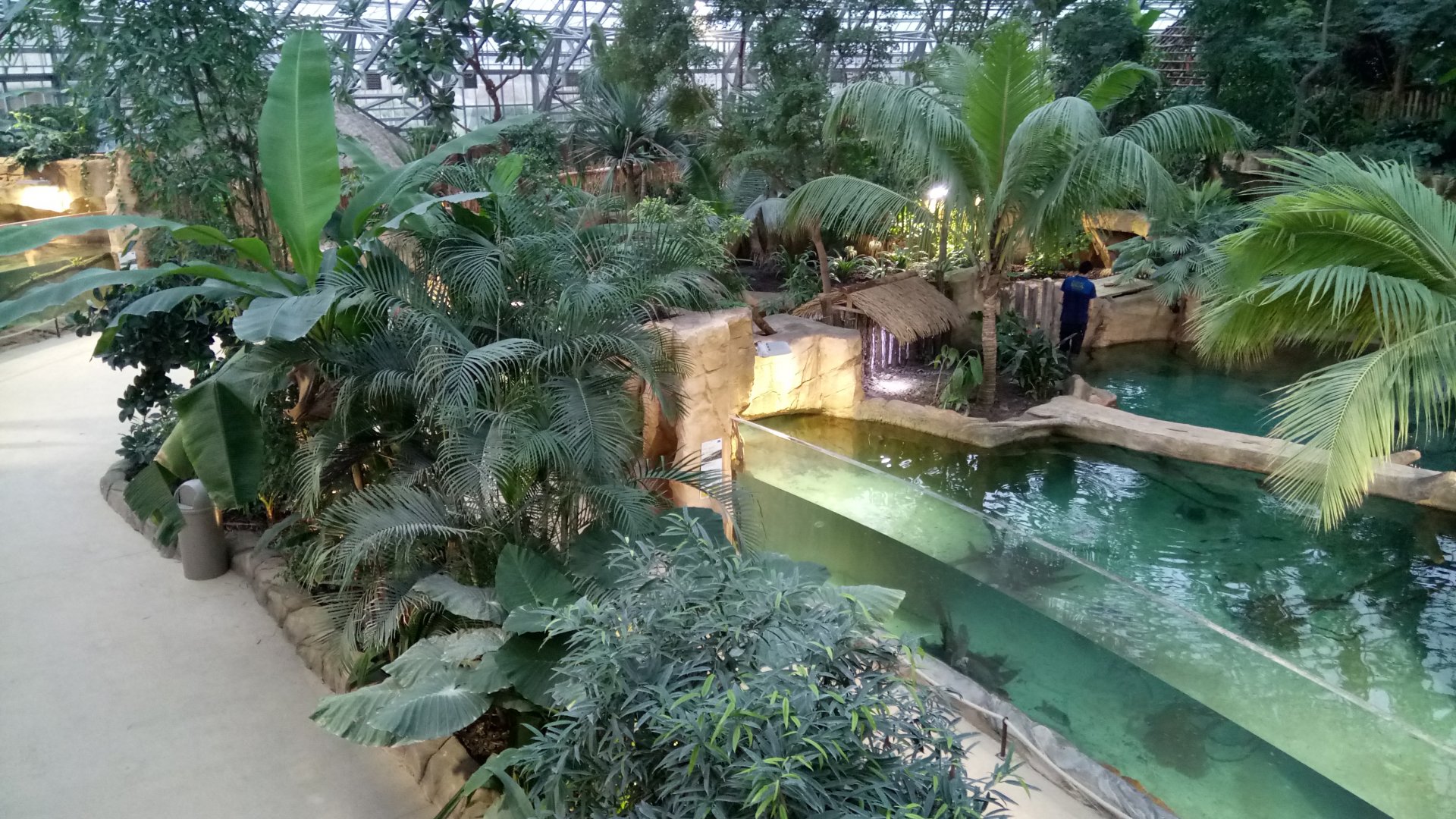 Tropical dome - View onto the two false gharials enclosures