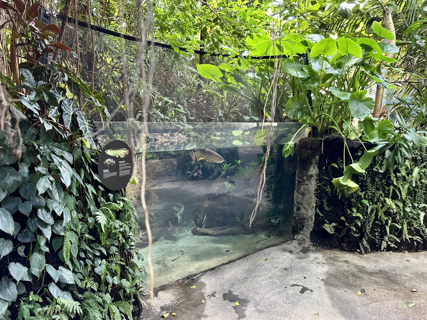 Tropical Dome - Viewing Window 7