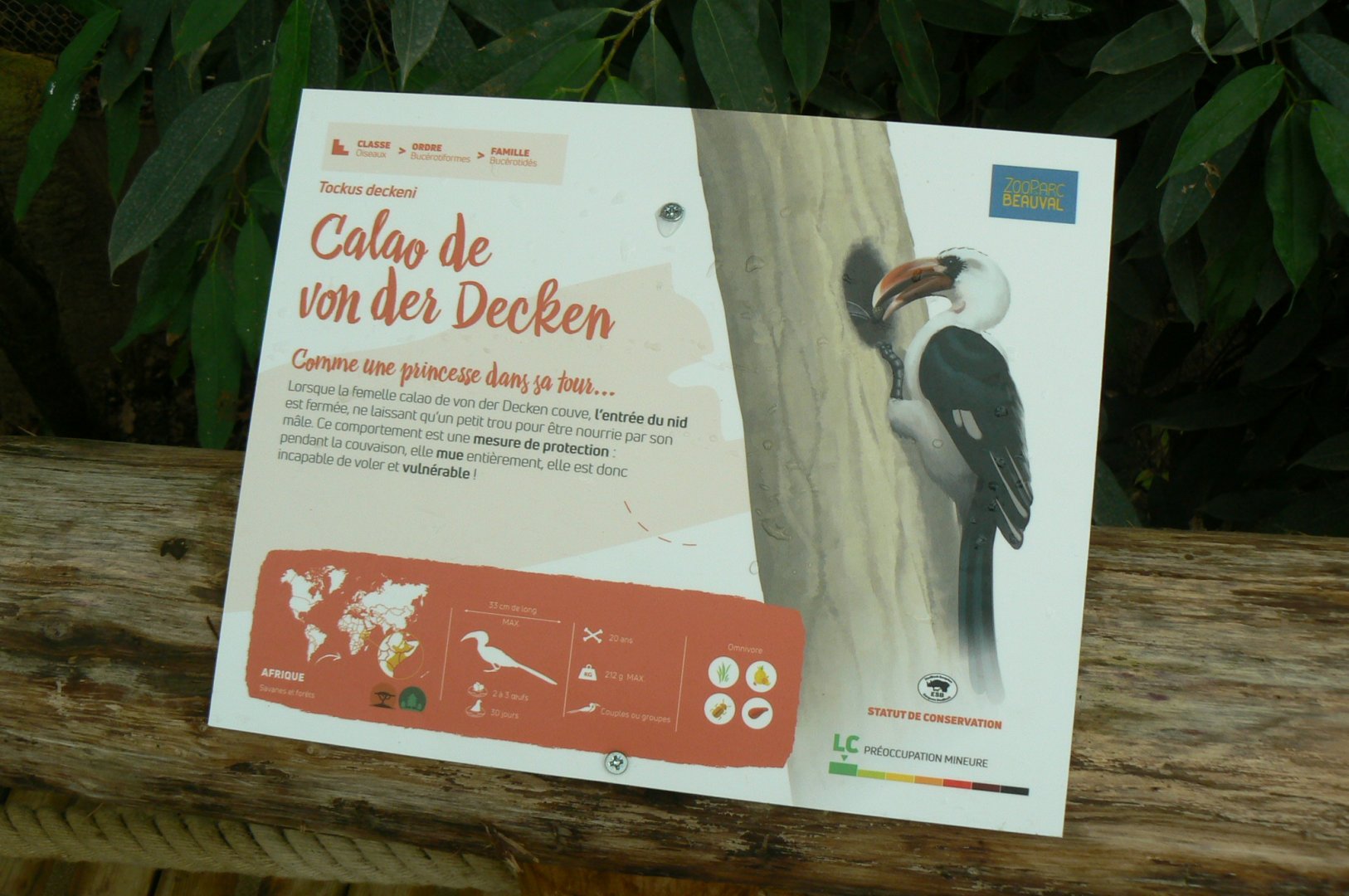 Tropical dome - Von Der Decken's Hornbill signage