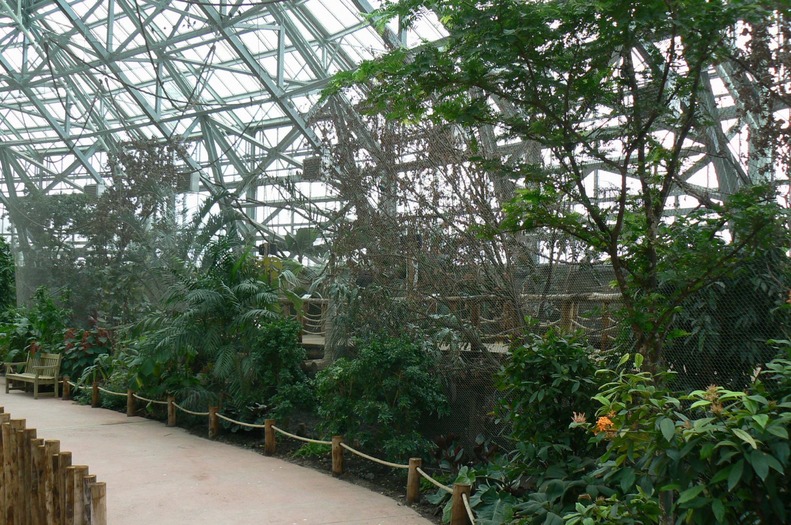 Tropical dome - Walkthrough aviary for Aldabr giant tortoises, rodriguez flying foxes and birds