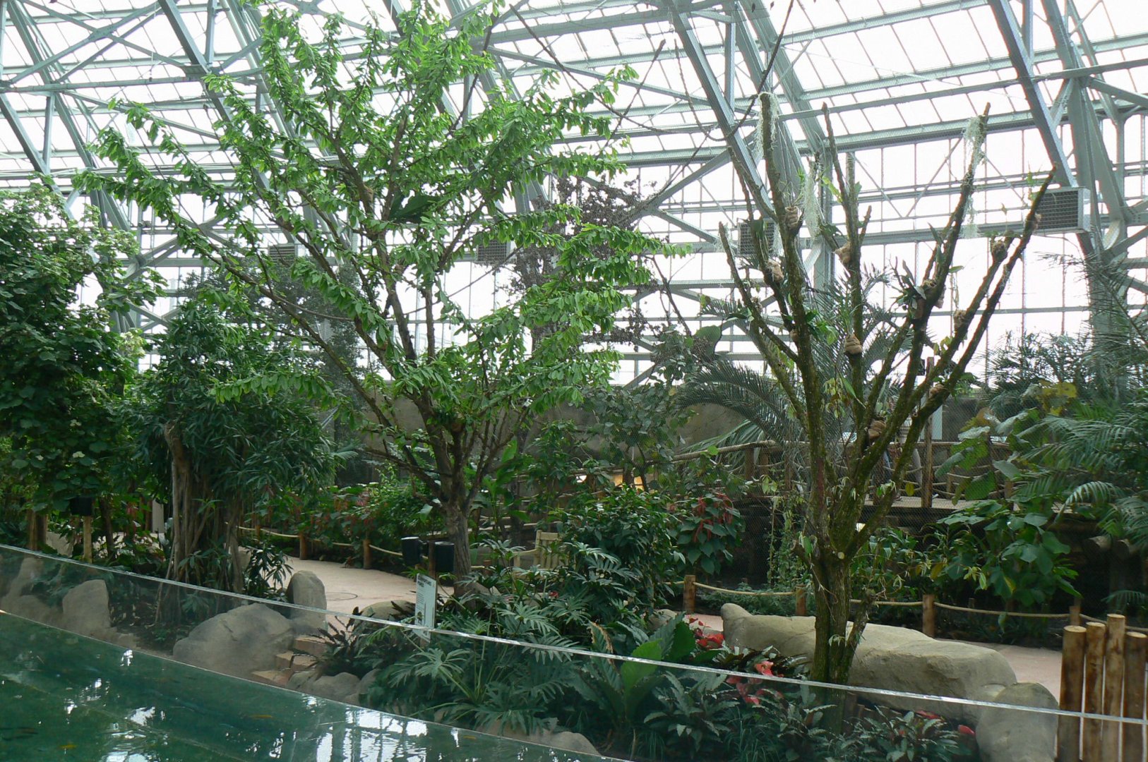 Tropical dome - Walkthrough aviary for Aldabr giant tortoises, rodriguez flying foxes and birds