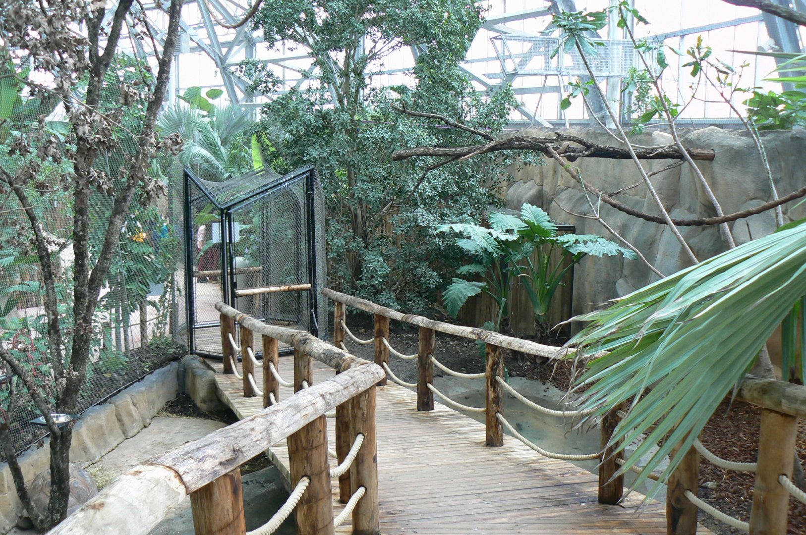 Tropical dome - Walkthrough aviary for Aldabra giant tortoises, rodriguez fruit bats and birds