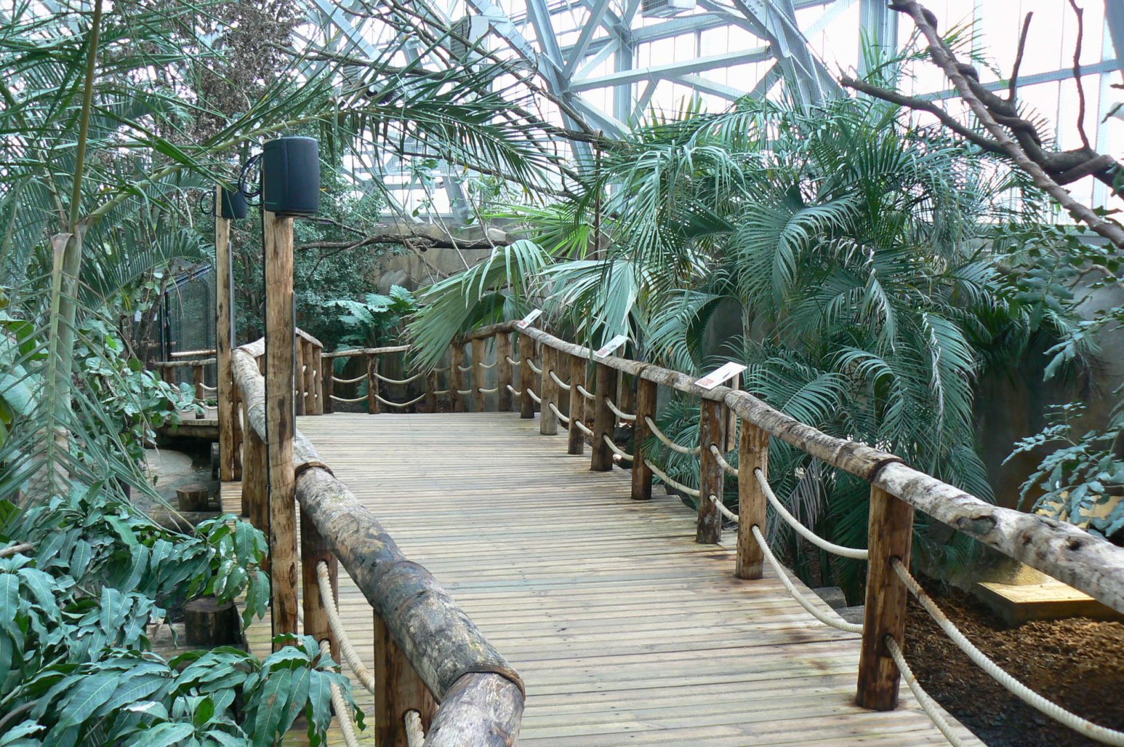 Tropical dome - Walkthrough aviary for Aldabra giant tortoises, rodriguez fruit bats and birds