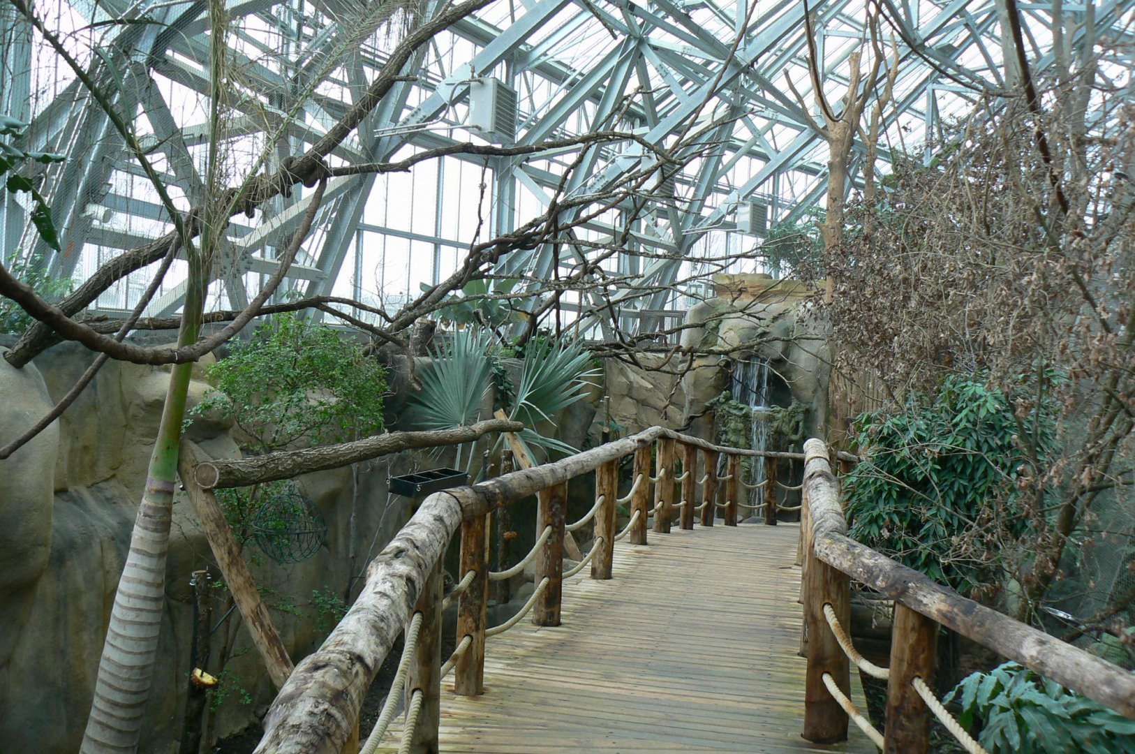 Tropical dome - Walkthrough aviary for Aldabra giant tortoises, rodriguez fruit bats and birds