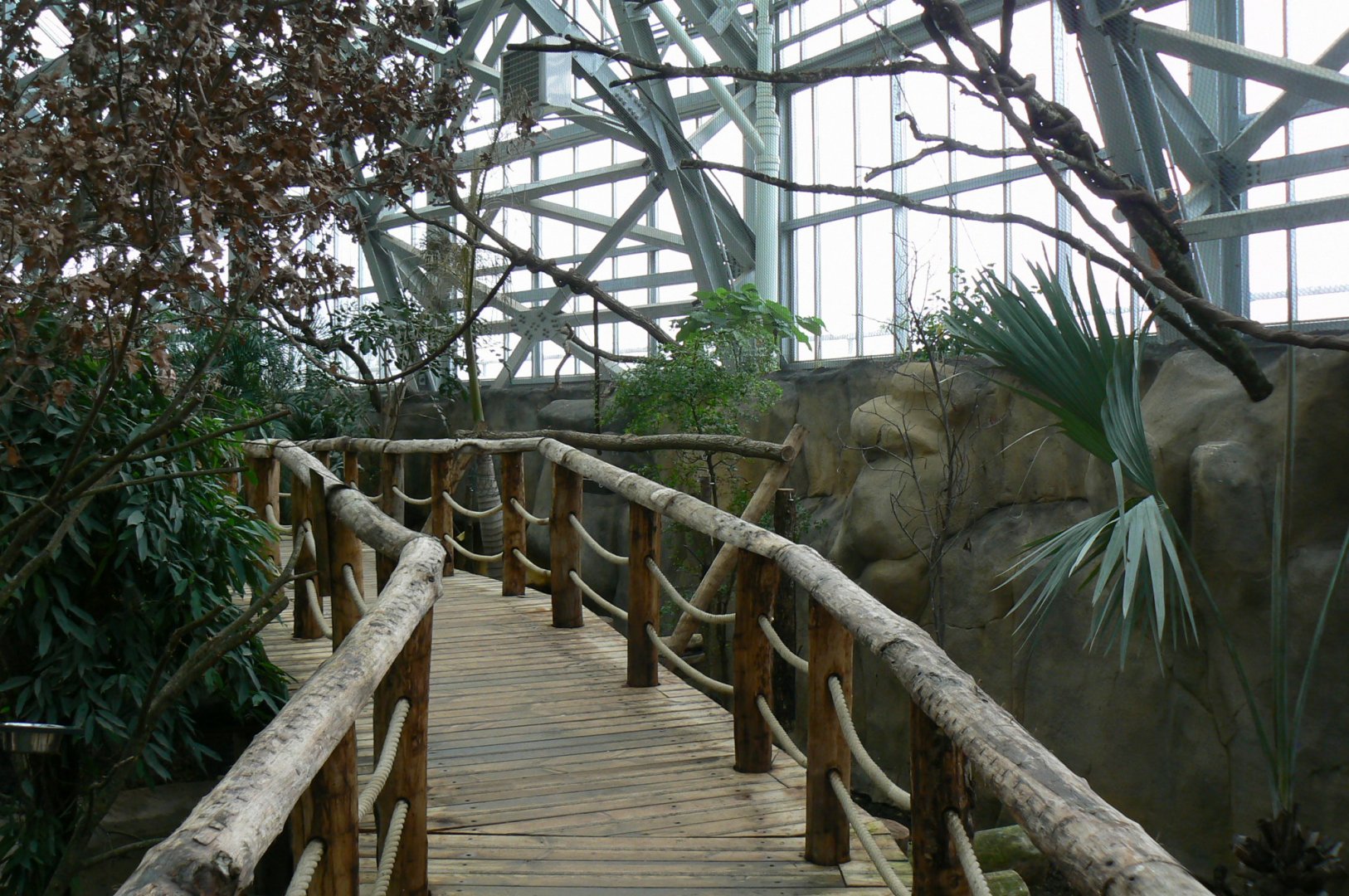 Tropical dome - Walkthrough aviary for Aldabra giant tortoises, rodriguez fruit bats and birds