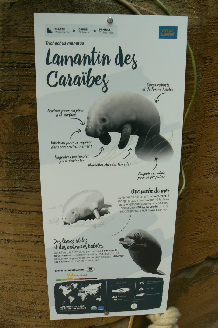 Tropical dome - West indian manatee signage