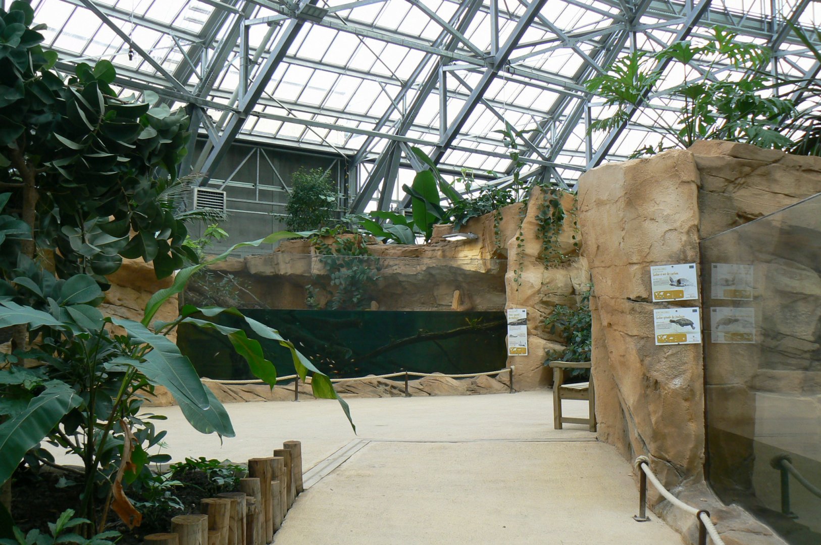 Tropical dome - Young false gharials (8) and southern river terrapins exhibit