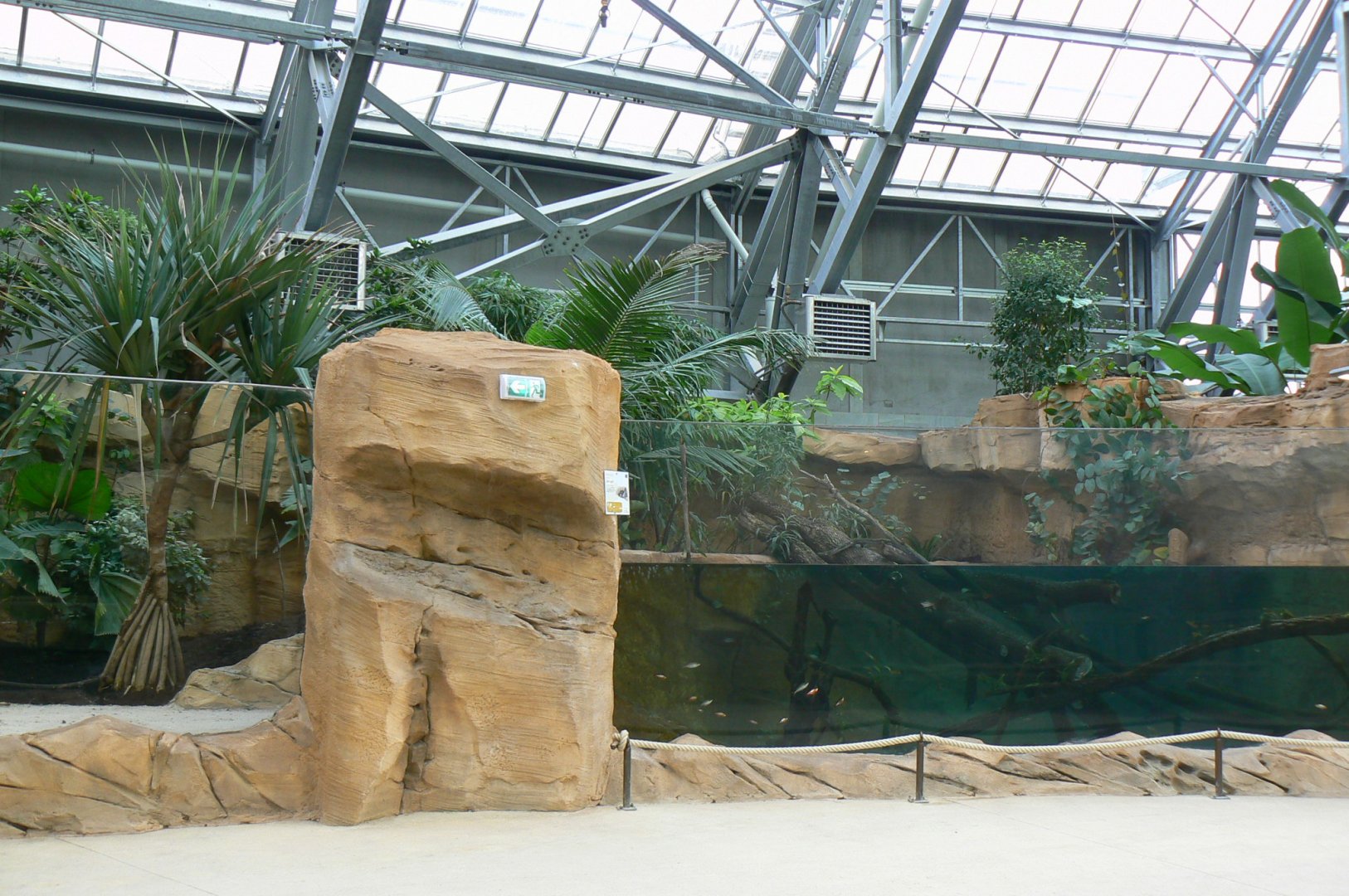 Tropical dome - Young false gharials (8) and southern river terrapins exhibit