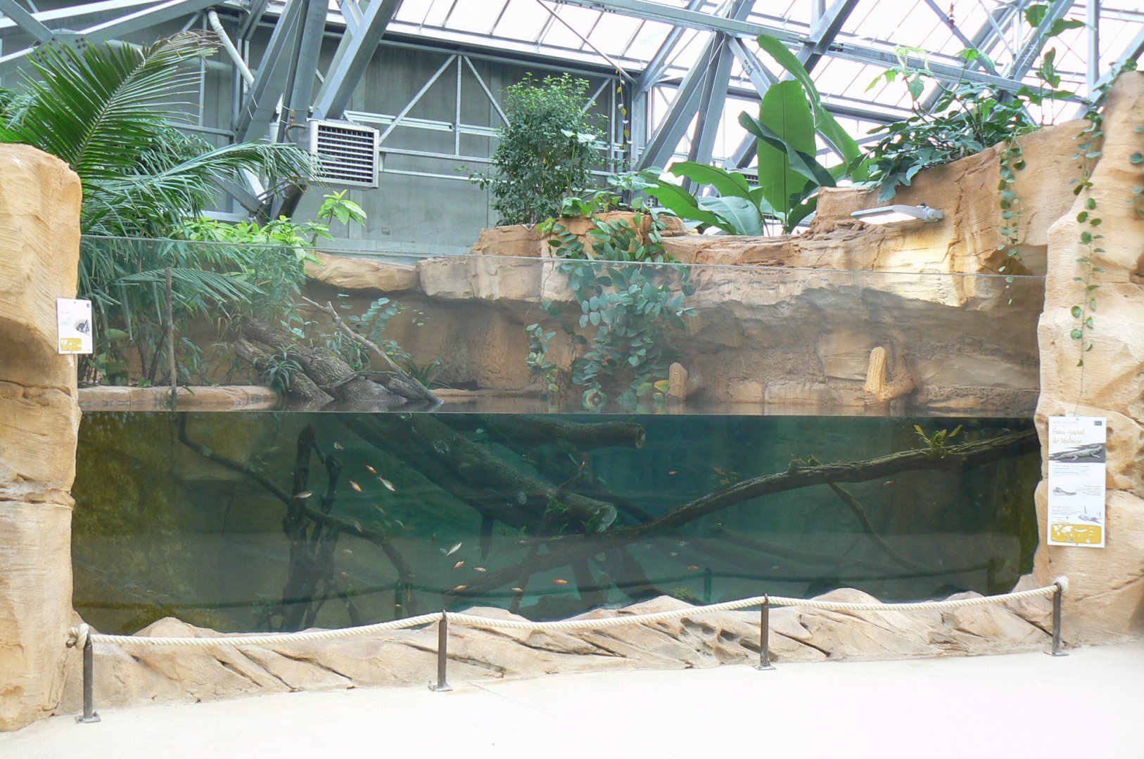 Tropical dome - Young false gharials (8) and southern river terrapins exhibit