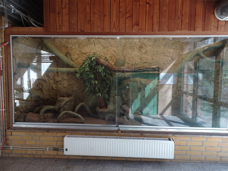 Tropical enclosure: Turtle enclosure