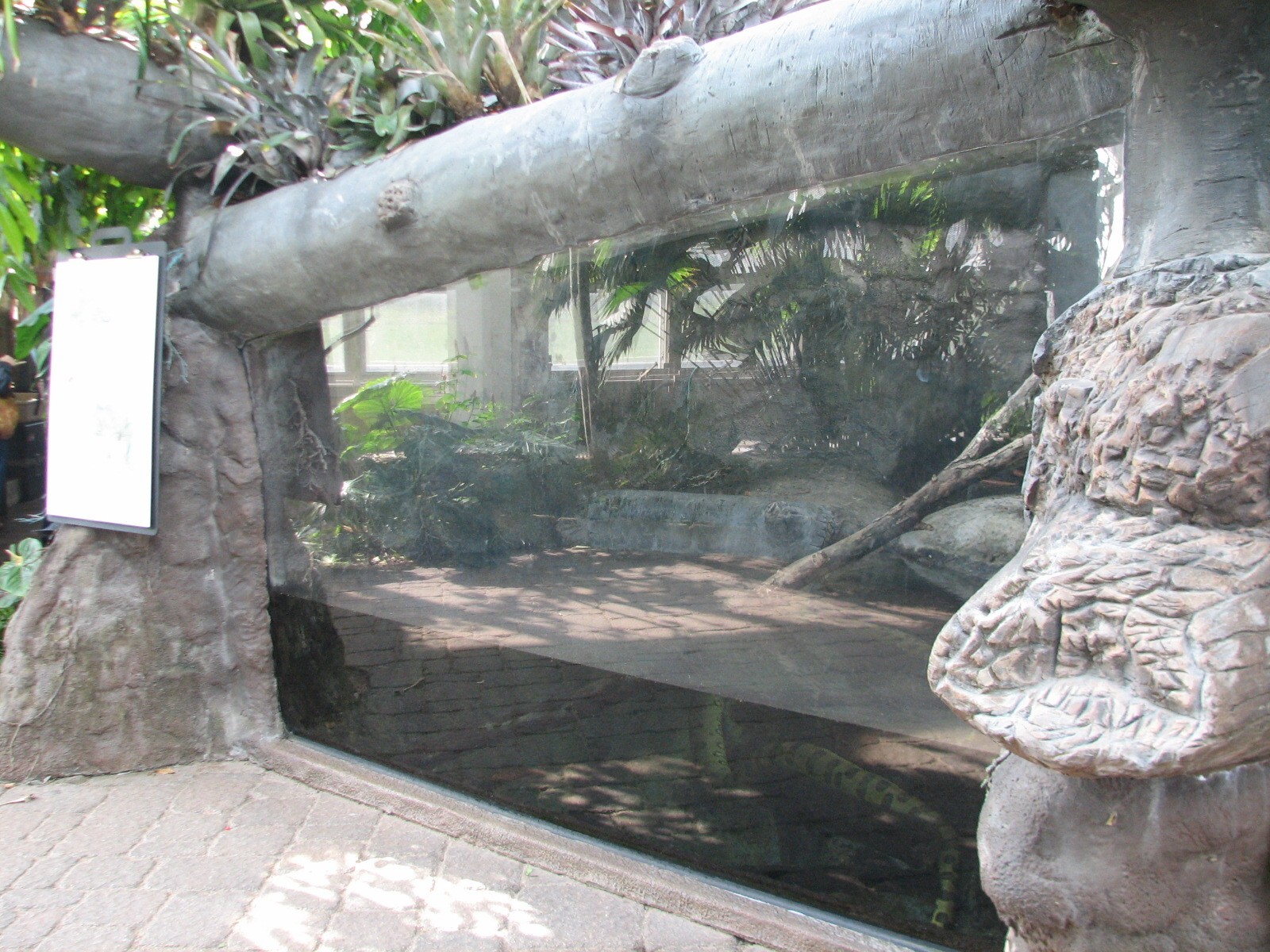 Tropical Encounters - Anaconda Exhibit
