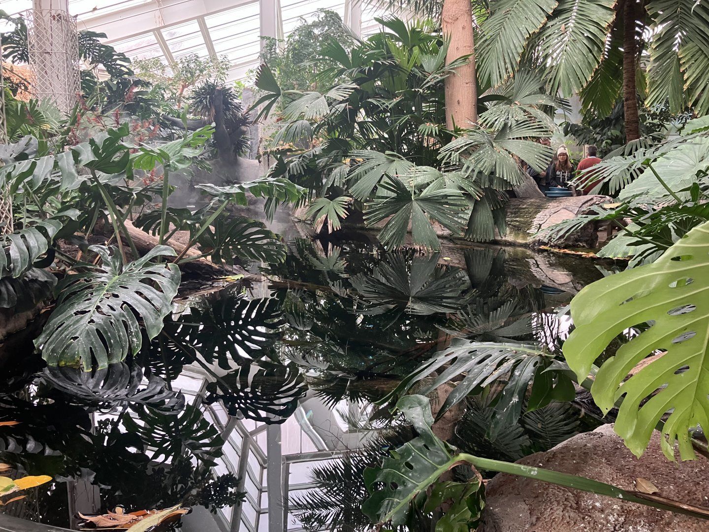 Tropical Encounters - Entrance Tank