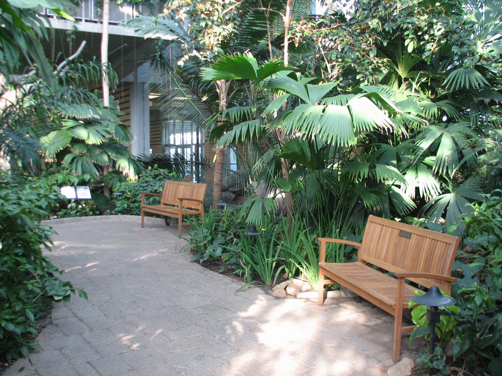 Tropical Encounters - Interior